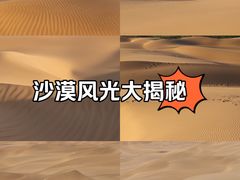 -库木塔格沙漠