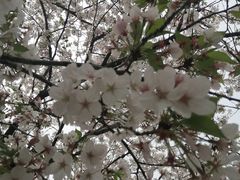 -上海体育馆(地铁站)