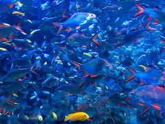 -成都浩海立方海洋公园