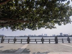 -海珠湖公园
