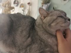 -平行世界·猫咖(首经贸店)