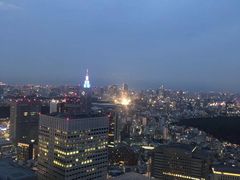 -东京都厅舍