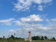 -三垟湿地