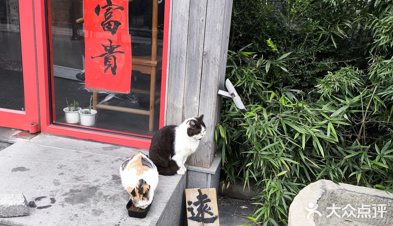 高碑店水库旁的湘菜馆儿[惊叹]太下饭了[点赞]