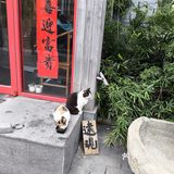 高碑店水库旁的湘菜馆儿[惊叹]太下饭了[点赞]
