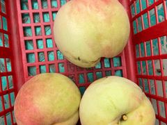 -南汇水蜜桃采摘(大团店)