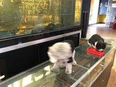 -酷鱼垂钓CLUB(朝阳区博大路店 )