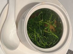 南北杏西洋菜炖仔排-上海总会SHANGHAICLUB(兴业太古汇店)