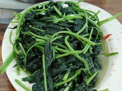 -黄家菜园农庄