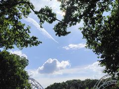 -上海共青森林公园