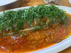 -老字号怡玺·藿香雅鱼(20年雅安店)