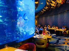 -迪拜帆船酒店海底餐厅