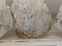 -上海邮政博物馆