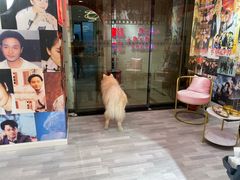 -肆兮眼镜·蔡司·徕卡战略合作店(大坪店)
