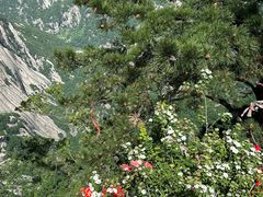 -华山风景名胜区
