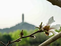 -北坞公园