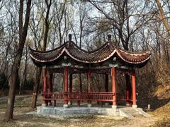 -云岗森林公园