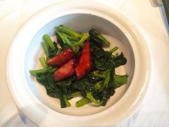 油焖冬笋拼豆苗-苏浙总会(国金中心店)