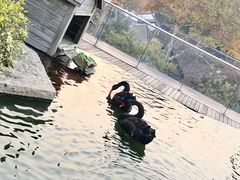 -行者书屋大堂吧 ·下午茶(南京圣和府邸酒店)