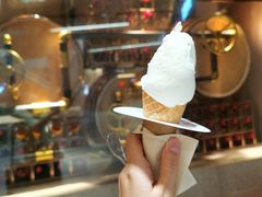 -野人先生现做冰淇淋(北京环宇荟店)