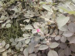 -沕沕水生态风景区