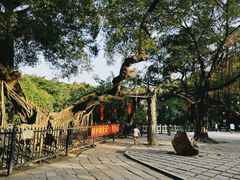 -小洲村
