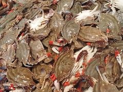 -一方渔歌蒸汽海鲜自助(文化路万达广场店)