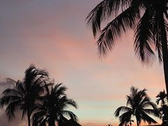 -亚龙湾希尔顿自助餐厅·海鲜·烧烤·沙滩BBQ·现场乐队