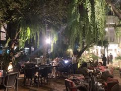 -Fern Forest Cafe