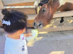 -水上乐园·欢乐世界