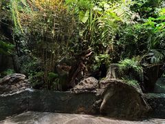 -漫·汤泉
