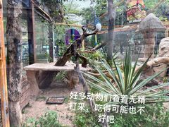 -灵玲国际马戏城