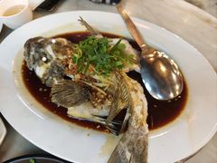 -大树下海鲜饭店