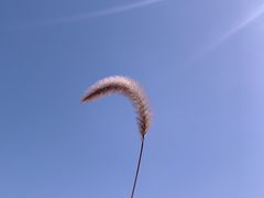 -十三陵水库