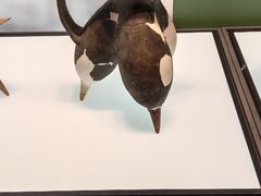 -盘龙城遗址博物院