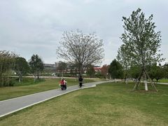 -咸阳湖景区