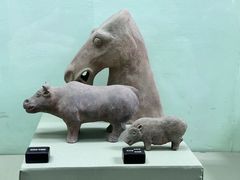 -古陶文明博物馆