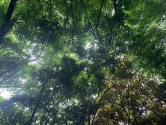 -崂山巨峰游览区