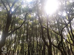 -东湖落雁景区