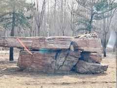 -秦皇岛野生动物园