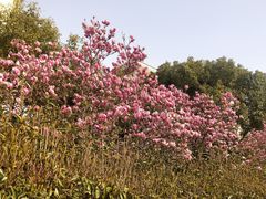 -澹台湖公园