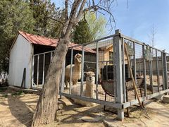 -意大利农场度假村