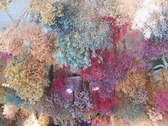 -花十悦·鲜花咖啡餐厅(振业城一期店)