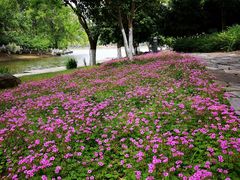 -白塘生态植物园