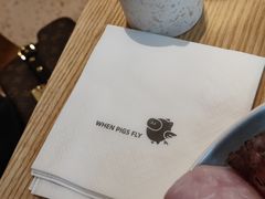 -WHEN PIGS FLY当猪飞