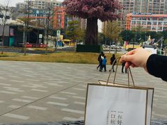 -奈雪的茶(漫广场店)
