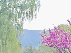 -济南南郊宾馆