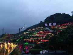 -枇杷园食为鲜火锅(南山店)