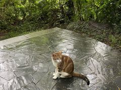 -燕晗山郊野公园