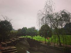 -村上春树
